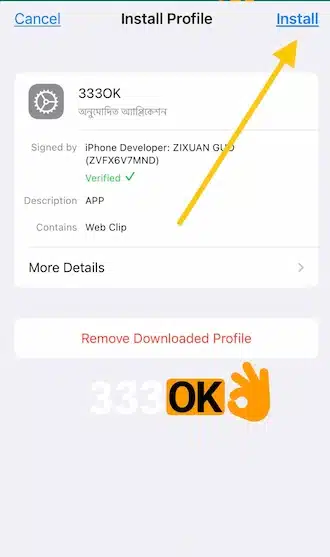 এ যান। 333OK প্রোফাইল সিলেক্ট করে ইনস্টল করুন।
